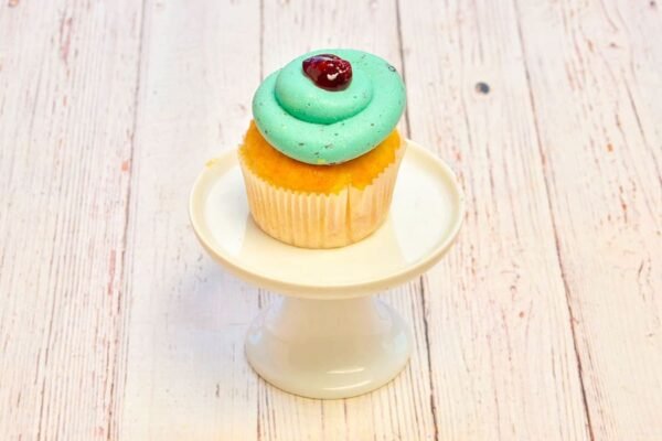 Blueberry Cupcake